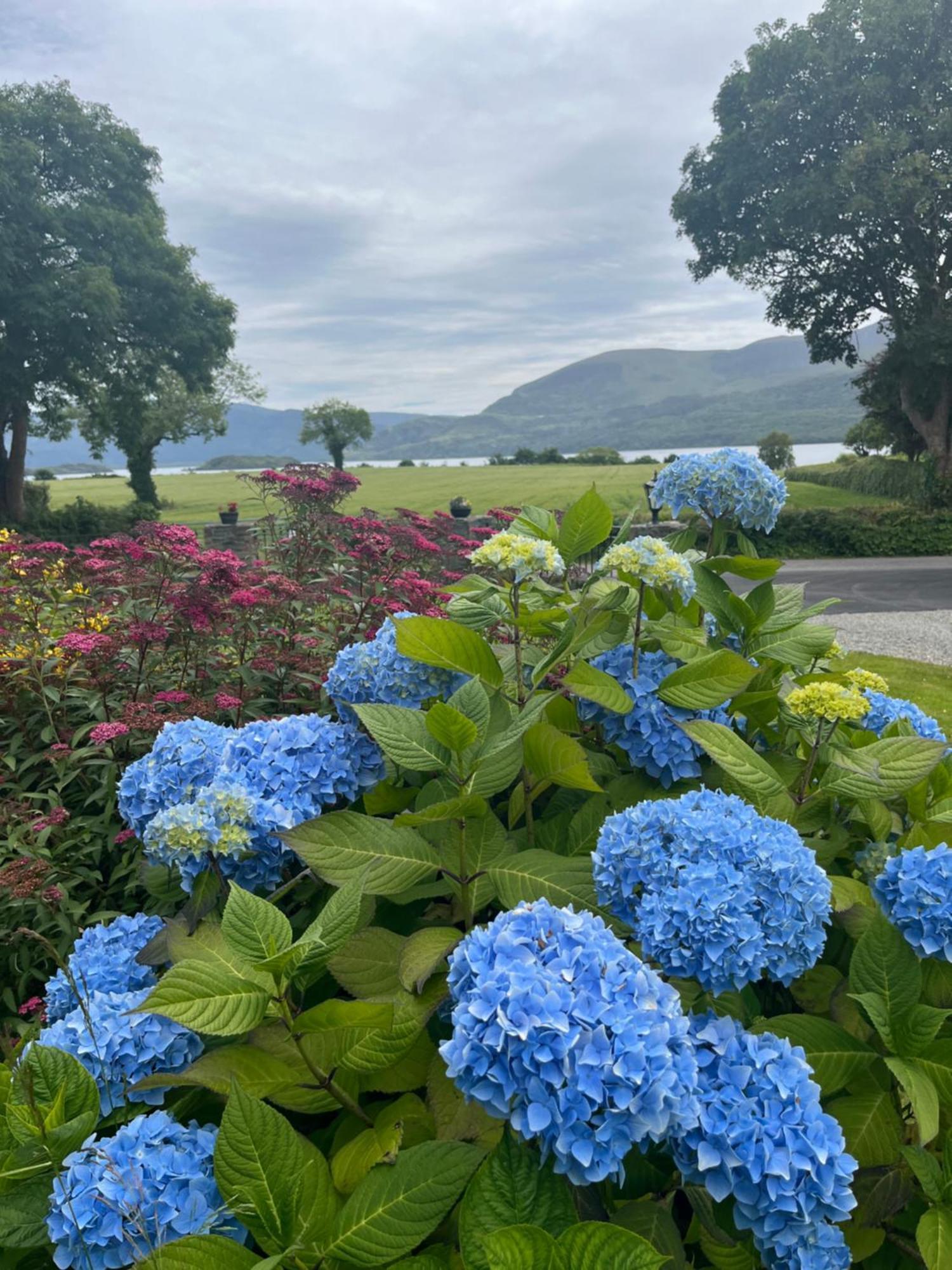 Loch Lein Country House Κιλάρνεϊ Εξωτερικό φωτογραφία